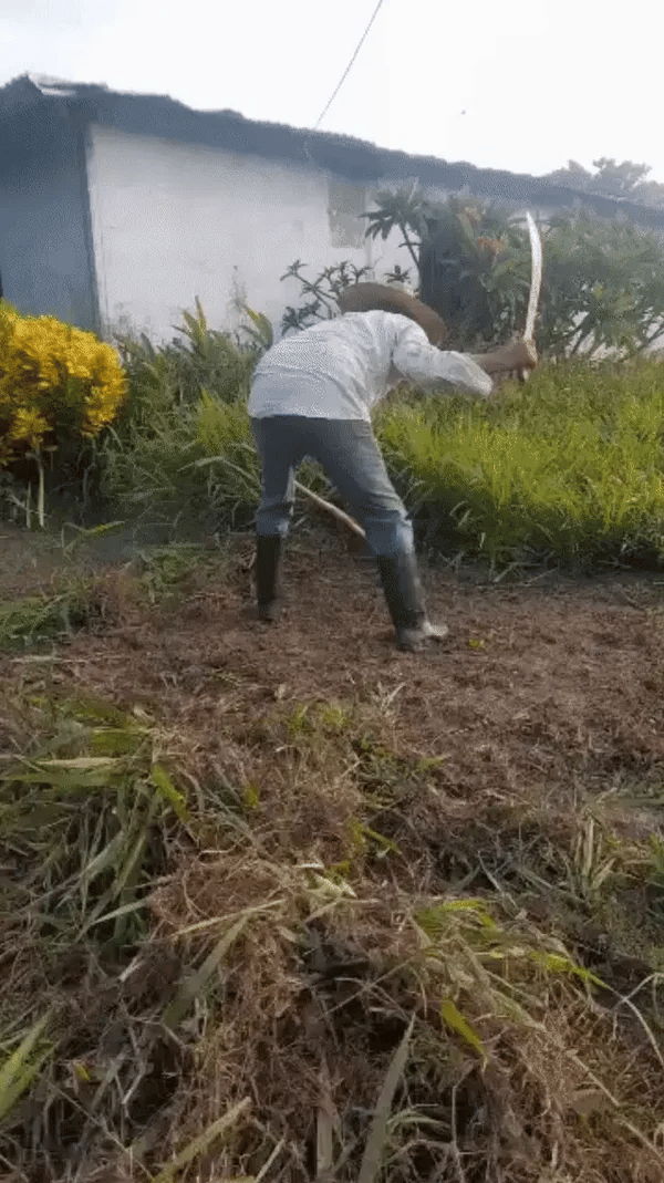 Cortadora Jardín Proportátil